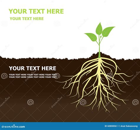 Tree With Roots Plant Roots Soil Stock Vector - Image: 60800061