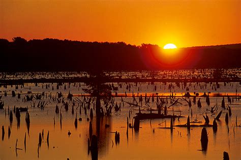 Lake Conway - Encyclopedia of Arkansas