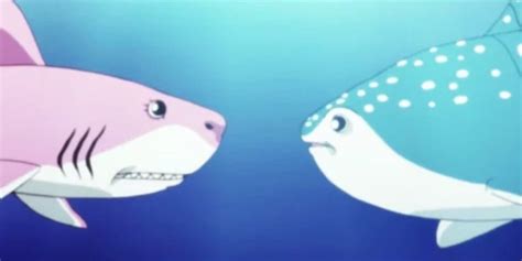 9 Top Rated Anime Shark Characters