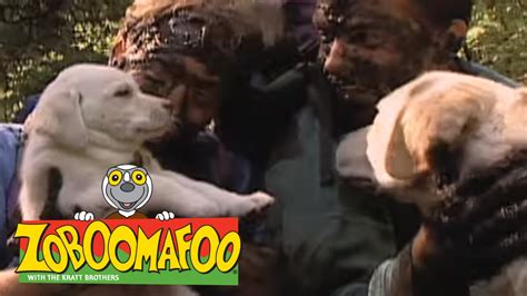 Zoboomafoo 113 - Puppies (Full Episode) - YouTube