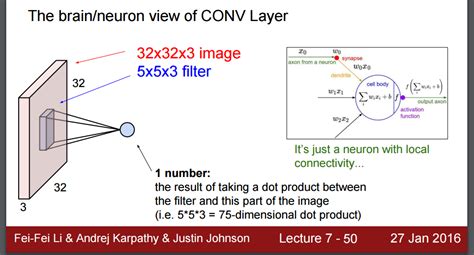 deep learning - How to understand the CNN's convolutional layer's ...