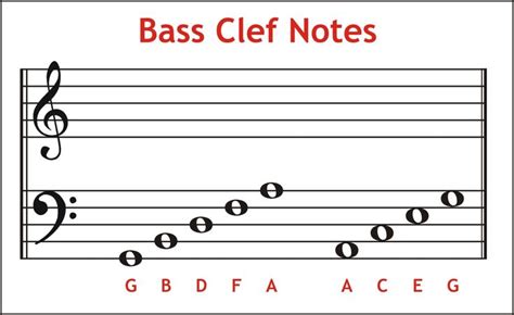 Bass Clef Staff Notes On The | Bass clef notes, Clef, Piano lessons