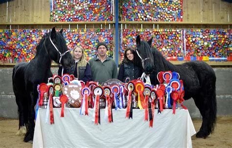 Champion pony breeders face planning hurdle - News - Teesdale Mercury