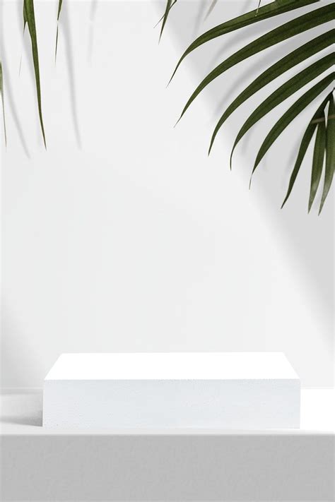 Download premium image of Aesthetic product backdrop, palm leaves by beam abou… | White ...