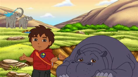 Watch Go, Diego, Go! Season 4 Episode 1: Go, Diego, Go! - Diego Reunites Hippo and Oxpecker ...