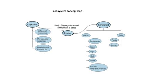 Ecosystem Concept Map Template | EdrawMind