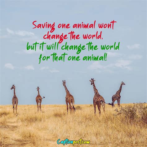 World Wildlife Day Quotes & Slogans - Captionpost