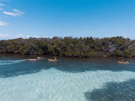 Six Days of Underwater Adventures in La Parguera | Discover Puerto Rico