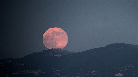 Strawberry Moon Rituals + Wisdom — Mo'Zen Wellness