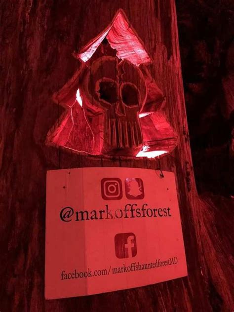 Best Horror Attraction of 2019: Markoff's Haunted Forest Maryland | Haunted forest, Best horrors ...