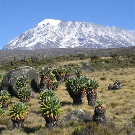 Kilimanjaro National Park - UNESCO World Heritage Centre