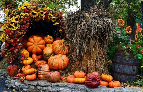 Fall Harvest Decor Crop. I like this look in a yard. Fall Garden Decor, Fall Outdoor Decor ...