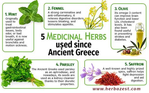 A cure for herpes, ancient greek herbs and medicine