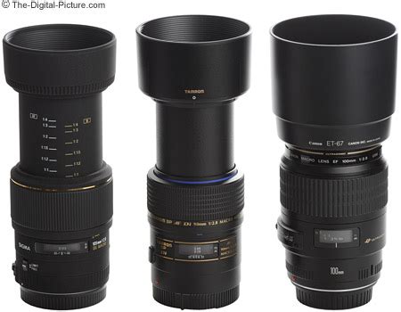 Canon EF 100mm f/2.8 USM Macro Lens Review