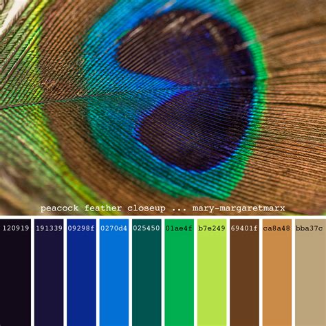 Peacock Wedding Color Palette