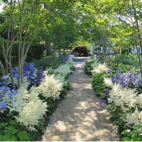 Astilbe Garden Design | Fasci Garden