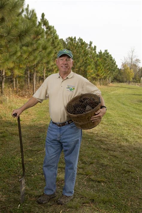 N.C. tree farmer wins national award for sustainability | North carolina, Carolina, Farm facts