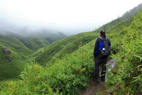 Dzukou Valley Trek in Nagaland - Best Season | Itinerary | Reviews ...