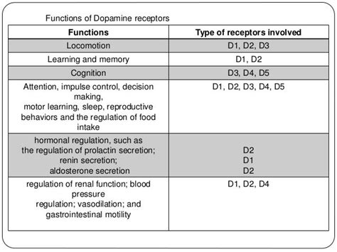 Dopamine Receptors Location