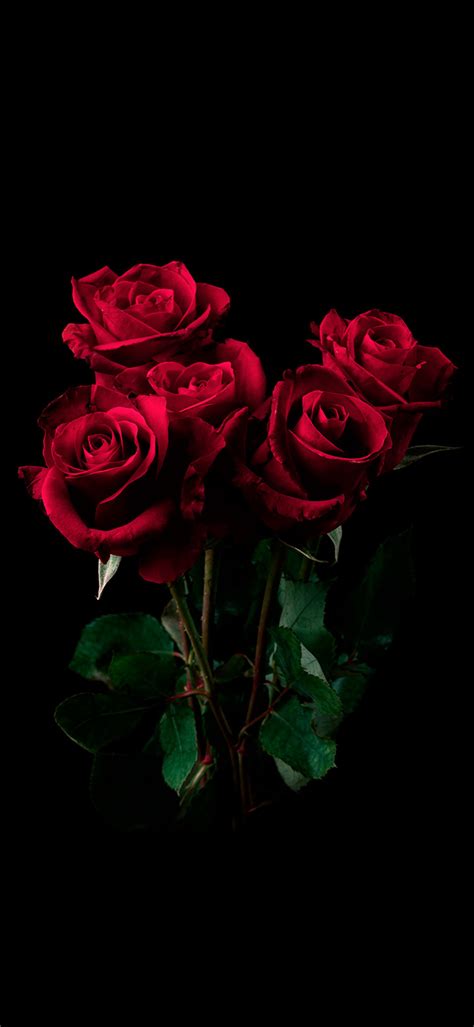 Bouquet Of Red Roses In A Dark Room 4K Phone Wallpaper