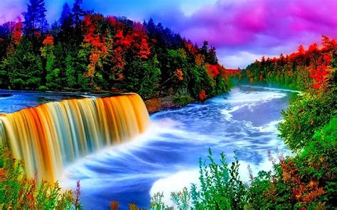 Rainbow Tropical Rainforest Waterfalls High Re, rainbow rainforest HD wallpaper | Pxfuel