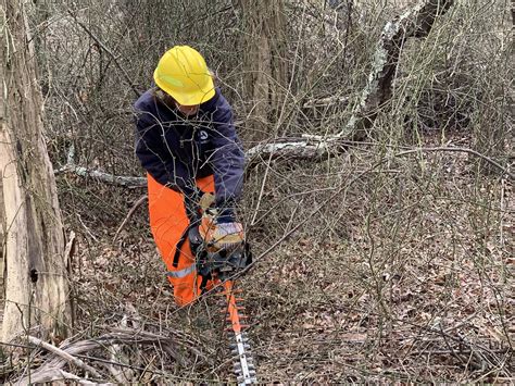 AmeriCorps at CF – invasive trees & catbrier removal 25MAR2024 (22 ...