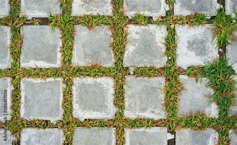 texture of concrete tiles with sprouted grass Stock Photo | Adobe Stock