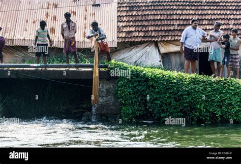 Kerala, India - fishing on the Pamba river delta Stock Photo - Alamy