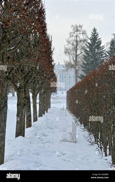 Catherine palace winter palace catherine hi-res stock photography and ...