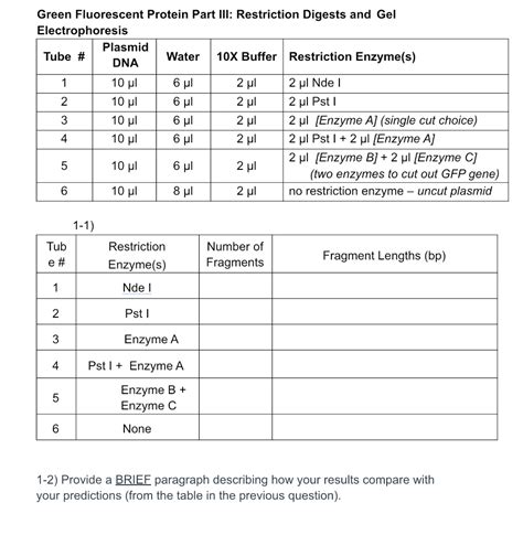 Solved 2. Tetrads form during _______. prophase of | Chegg.com