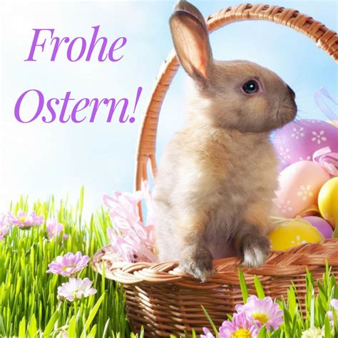 Frohe Ostern Bild geschäftlich Hase #Easter #spring #happy | Easter bunny images, Easter bunny ...