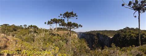 Aparados da Serra National Park photo WP40728