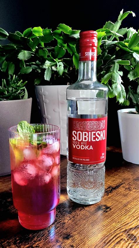 Sobieski Polish Vodka Review • Foodie Explorers