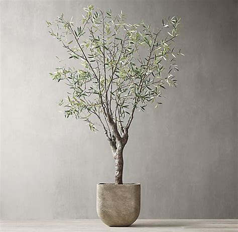 Grand Faux Olive Tree in 2020 | Faux olive tree, Indoor olive tree ...