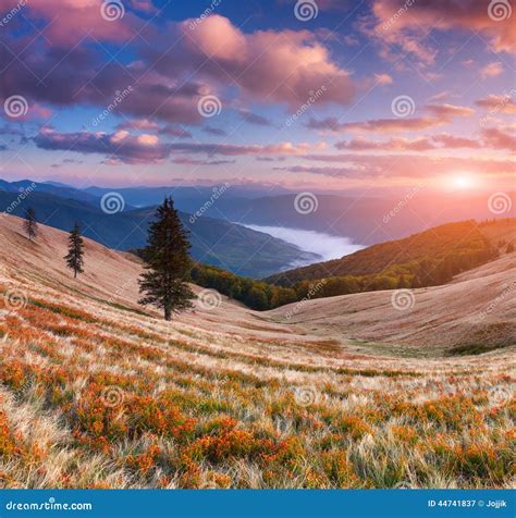 Colorful Autumn Sunrise in Mountains. Stock Image - Image of scenery ...