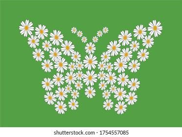 Butterfly Daisy Flower Free Soul Vectorstar Stock Vector (Royalty Free) 1753908650 | Shutterstock