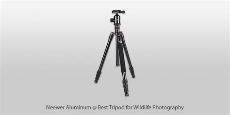 7 Best Tripods for Wildlife Photography to Buy in 2025