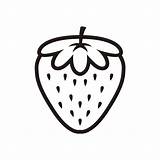 Cute Strawberry Coloring Book Vector Line Art Of Healthy Berry Black  sketch template