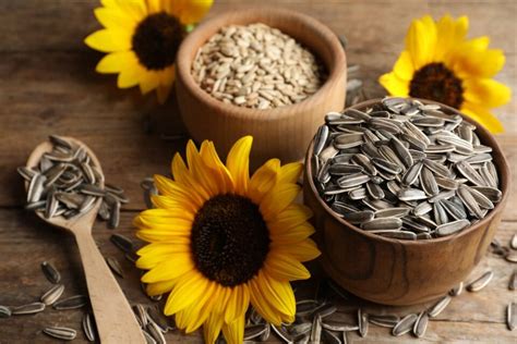 15 Sunflower Seed Varieties - ChowTray