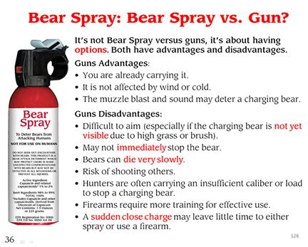 Bear Spray vs Gun, which is better? | Montana Hunting and Fishing