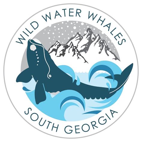 South Georgia right whales: Where are they now? – Whale DNA Lab