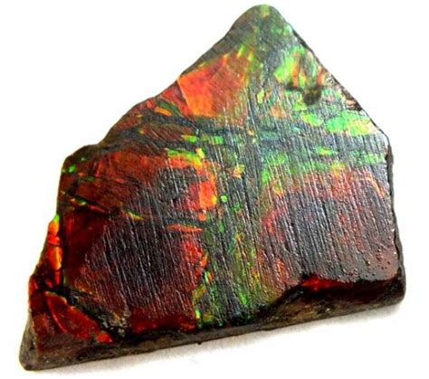 Ammolite | Ammolite, Metaphysical properties, Survival instinct