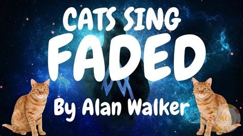 Cats Sing Faded by Alan Walker | Cats Singing Song - YouTube