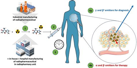 Frontiers | Radiopharmaceutical good practices: Regulation between ...