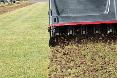 The Benefits of Aerating Your Lawn - Carolina Fresh Farms