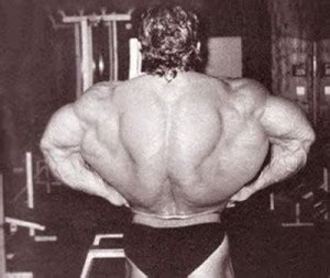 Muscle Building Blog » Blog Archive Back training in 30 minutes ...