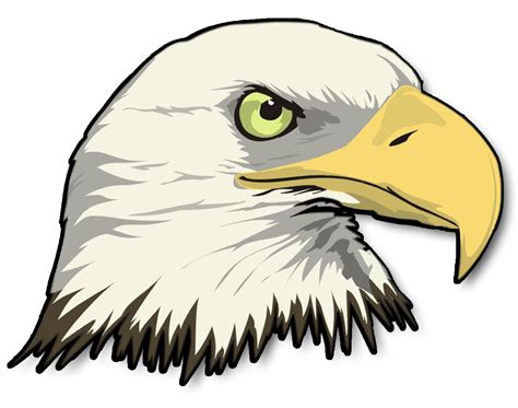 Cartoon Eagle Clipart Free Black And White