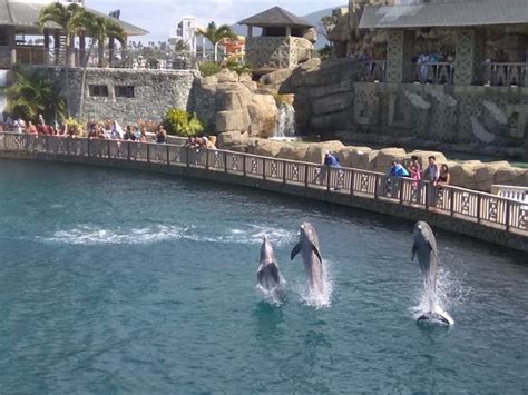 Ocean World Adventure Park (Puerto Plata) - 2019 All You Need to Know ...