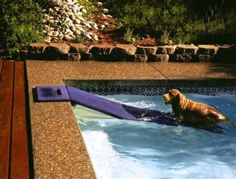 A Floating Dog Ramp, maybe one day we'll have a pool to put this in! #dogramp | Dog ramp, Dog ...