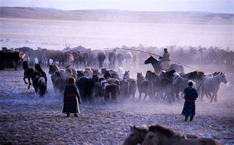 gobi desert nomads mongolia - Google Search | Mongolia, Nomad, Desert nomad